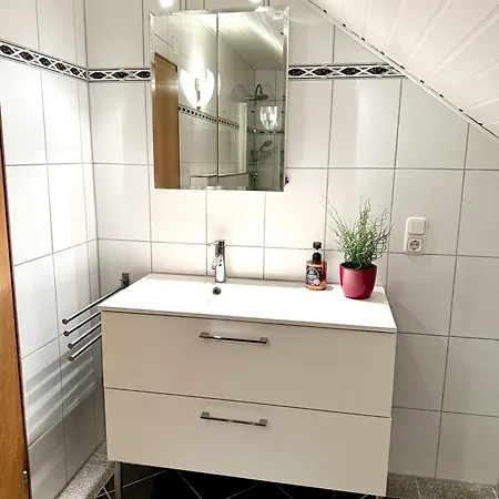 Apartment Domus Palatina & Business Hanhofen