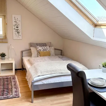 Domus Palatina & Business Appartement Hanhofen