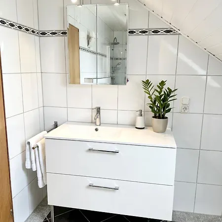 Appartement Domus Palatina & Business Hanhofen