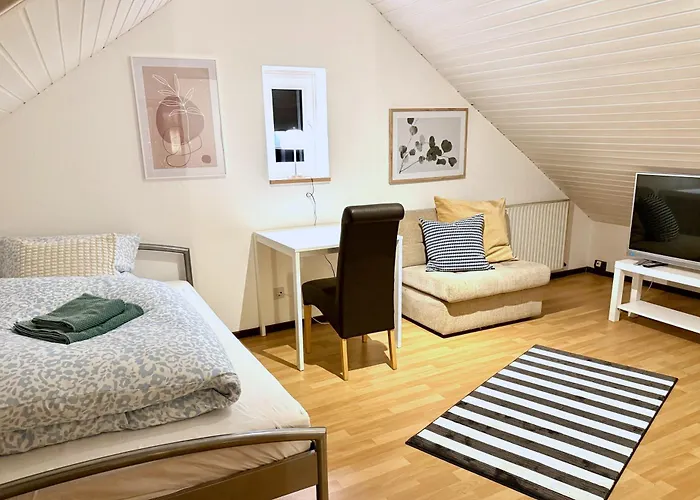 Domus Palatina & Business * Hanhofen